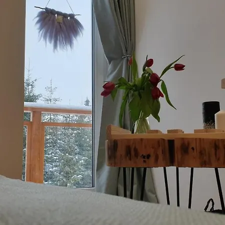 Tom's & Goraca Bania Pod Gwiazdami Istebna